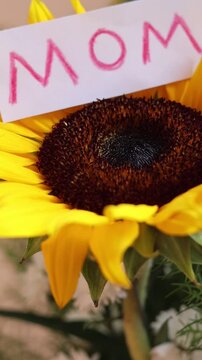 Un primer plano de una flor de girasol con la palabra madre. Video vertical