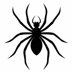 Vector art illustration of a spider