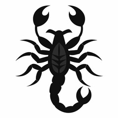 Scorpio vector art illustration
