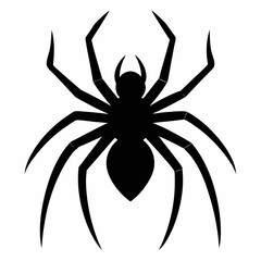 Vector art illustration of a spider
