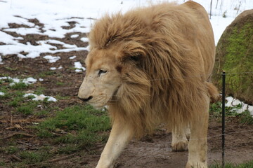 山口県】秋吉台自然動物公園サファリランド、ふれあい広場