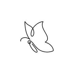 Butterfly continuous one line drawing