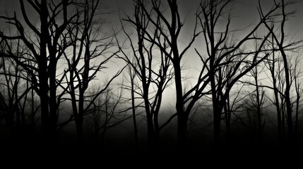 Obraz premium contrast black and white tree