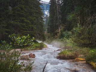 Mountain stream flowing through lush forest near Courchevel