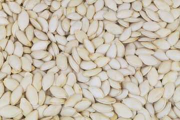 Many pumpkin seeds as background