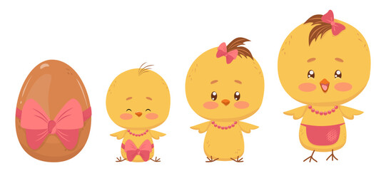 Stages of chick development from egg to hen. Set of isolated drawings of female chick. Dark egg with red bow, baby, girl, adolescent, female. Cute characters for design and decoration