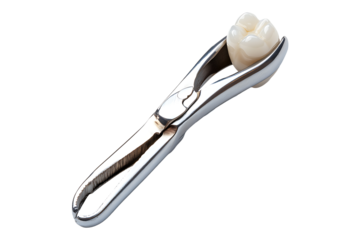 Tooth clamped in medical extraction forceps isolated on transparent background
