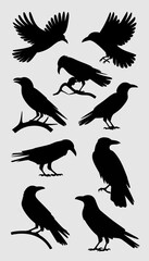 Raven Silhouettes Crow Vector Set Isolated.