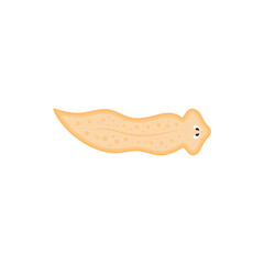 Illustration of Planarian Flatworms Icon 