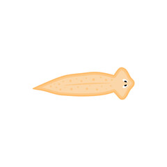 Illustration of Planarian Flatworms Icon 