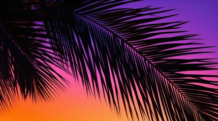 Fototapeta premium sky palm leaves silhouette
