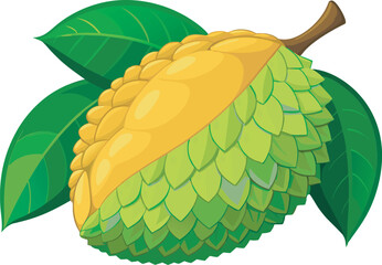 Fototapeta premium A vibrant and detailed vector art illustration of a beautiful jackfruit, showcasing its unique texture, rich color, and tropical appeal.
