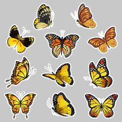 Stickers with yellow butterflies.Vector collection of stickers and decals with bright yellow butterflies.