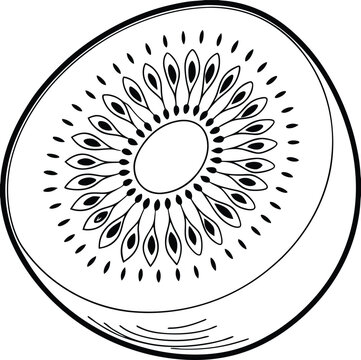 black and white kiwi fruit slice clip art preview