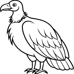 Fototapeta premium Monochrome Vulture Outline Illustration