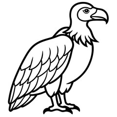Obraz premium Monochrome Vulture Outline Illustration
