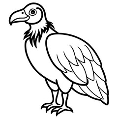 Fototapeta premium Monochrome Vulture Outline Illustration