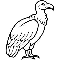 Monochrome Vulture Outline Illustration