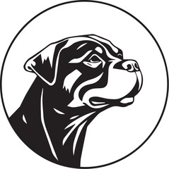 Rottweiler dog. Hand drawn vector illustration