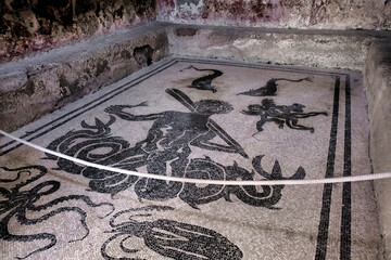 The mosaic floor of the tepidarium of the Forum Baths of Herculaneum is an extraordinary example of...