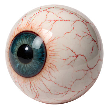 Monster eyeball with veins isolated on a transparent background