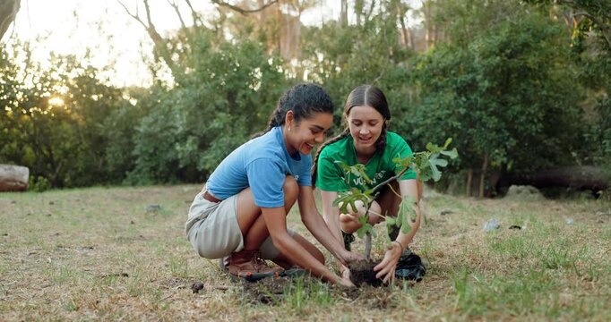 Happy women, volunteer or planting with high five for natural growth, community service or eco friendly environment. Female people, environmentalist or social worker with smile for NGO conservation