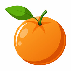 vector illustration of an clementine fruit
