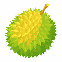 durian fruit isolated on white