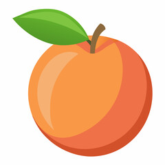 peach fruit vector illustration