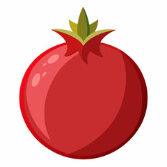 pomegranate fruit vector icon