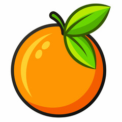 orange fruit vector illustration