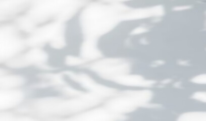 Tree shadow and light of leaf branch background. Nature leaves tropical jungle tree branch dark shadows and light from sunlight on wall texture for background wallpaper design, shadow overlay effect