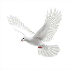 Obraz premium Bird-Inspired Objects and Wildlife Isolated on White Background