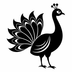 Fototapeta premium Peacock Silhouette – Clean Vector Art