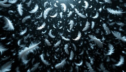 White feather background