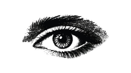 Detailed Eye Sketch, A Hand-Drawn Illustration Capturing the Intricacy of the Human Eye, Perfect for Artistic and Anatomical Design Projects.