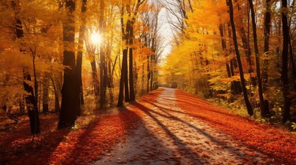 Fototapeta premium serene red and yellow