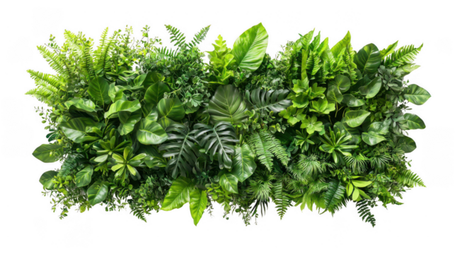 Stunning vertical green plant wall featuring diverse plant species enhancing modern indoor spaces