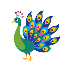 Peacock spreading its colorful feathers illustration