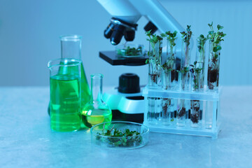 Biochemistry. Glassware with different liquids, plants and microscope on light grey table in laboratory