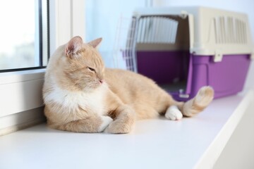 Cute cat and pet carrier on window sill indoors, selective focus
