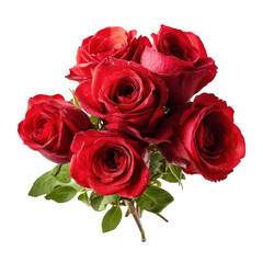 Fototapeta premium Beautiful Red Rose Bouquet Isolated on Transparent Background