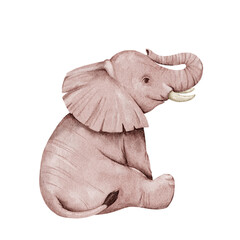 African elephant in watercolor style, isolated on a white background. Watercolor animal of Africa. Illustration with an elephant