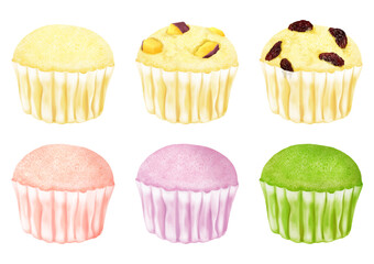 ベクター　蒸しパン　カップケーキ　6フレーバー　スイーツ