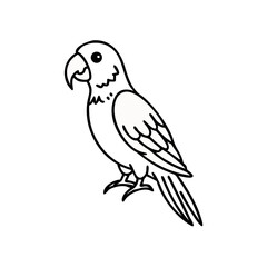 Parrot Line Art: A simple yet detailed line drawing of a parrot standing with its wings folded, showcasing a playful and friendly nature. The artwork evokes a sense of joy and vibrancy.
