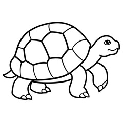 Simple Tortoise Vector Drawing