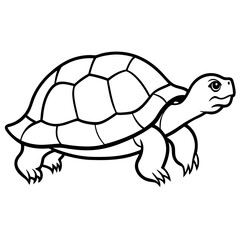 Simple Tortoise Vector Drawing