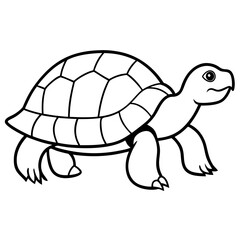 Simple Tortoise Vector Drawing