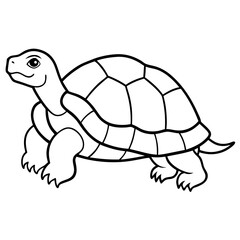 Simple Tortoise Vector Drawing