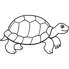 Simple Tortoise Vector Drawing